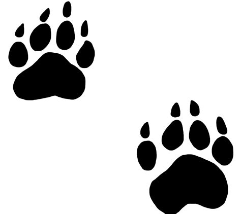 Bear Paw Dog Cat Clip Art Animal Footprints Cliparts Png Download