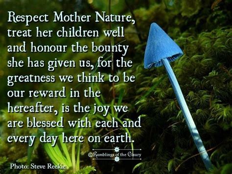 Mother Nature Quotes Nature Sayings Respect Quotes Wonder Quotes