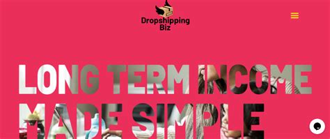 dropshippingbiz agency — starter site listed on flippa own your own dropshipping agency business