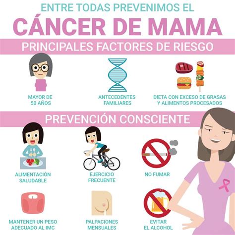Factores De Riesgo Y Prevención Del Cáncer De Mama Infografía Vulva