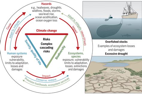 Overcoming The Coupled Climate And Biodiversity Crises And Their