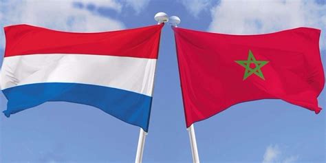 هولندا استدعاء المغرب لسفيره غير مفهوم وغير مجدٍ