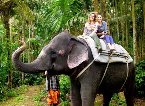 Things To Do In Kerala Travel Experiences In Kerala