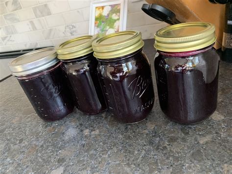 First Time For Everything Homemade Concord Grape Jelly Canning
