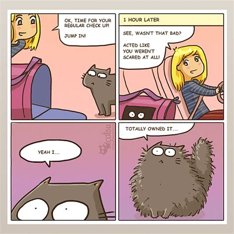 10 Hilarious Comics That Reveal The Reality Of Living With Cats