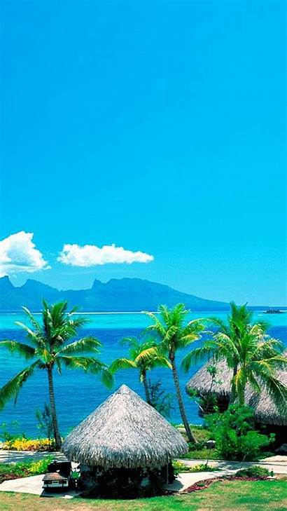 Android Wallpapers Tropical