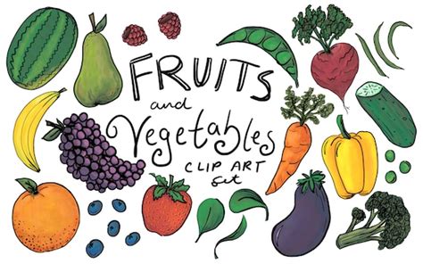Fruits And Vegetables Clip Art Hand Drawn Clip Art Hand Etsy