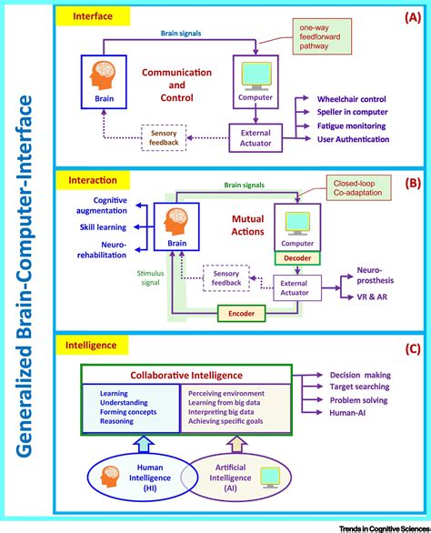 Interface Interaction And Intelligence In Generalized Braincomputer