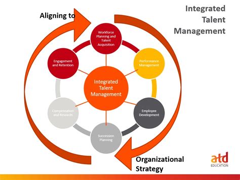 What Is Talent Management Tm Overview Atd