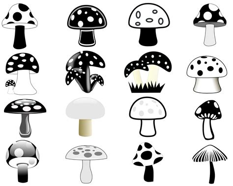 Mushroom Svg Mushroom Svg Bundle Mushroom Clipart Mushrooms Etsy