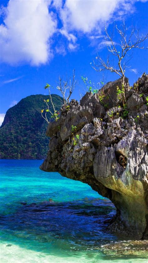Incredible Wild Beauty Of Philippines Islands Palawan El