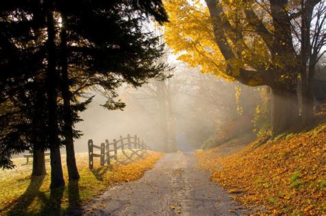 Jacobs Ladder Scenic Byway Americas Best Fall Foliage Road Trips