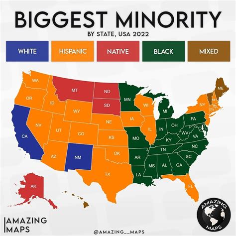 Biggest Minority In Each State Of Us By Maps On The Web