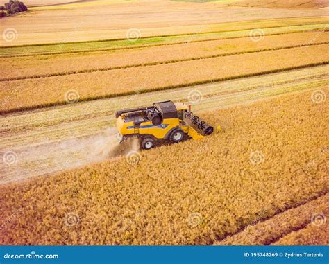 Aerial View Of Combine Harvester Harvesting Wheat Combine Harvester