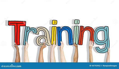 Diverse Hands Holding The Word Training Stock Illustration