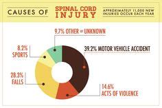 12 Spinal Cord Injury ideas | spinal cord injury, spinal ...
