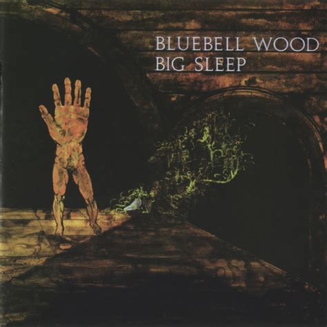 Rockasteria Big Sleep Bluebell Wood 1971 Uk Marvelous Baroque Prog