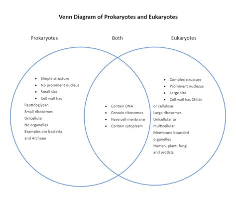 Prokaryotic And Eukaryotic Cells Venn Diagram