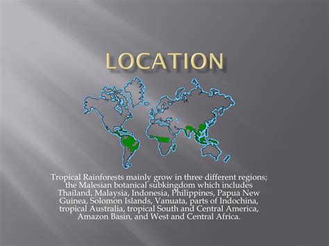 See this part of the planet like you've never seen it before, in an original new earth documentary, exploring the geography of our. PPT - Tropical Rainforest PowerPoint Presentation, free download - ID:2690479