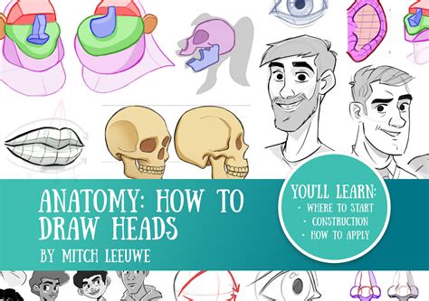 Anatomy How To Draw The Heads By Mitch Leeuwe Mitch Leeuwe By Raynita
