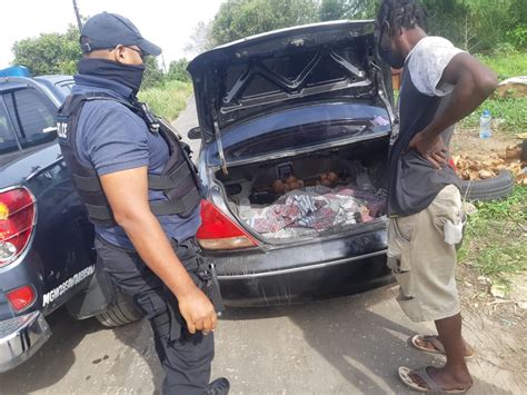 Praedial Larceny Squad Combats The Illegal Conveyance Of Agricultural