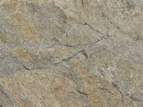 Cracked Sandstone Texture 0047 Texturelib