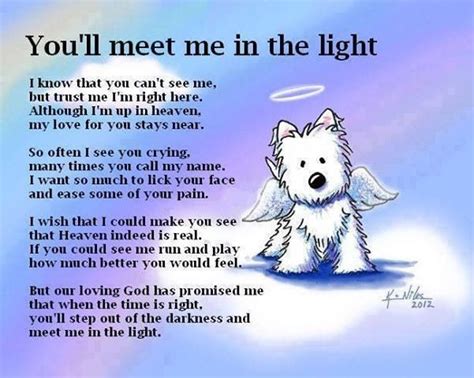 Pet Loss Poems Quotes Dogs Image Quotes At