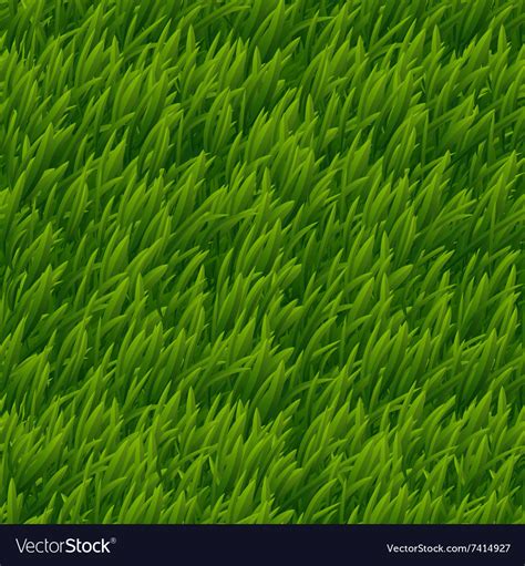 Green Grass Seamless Texture Royalty Free Vector Image