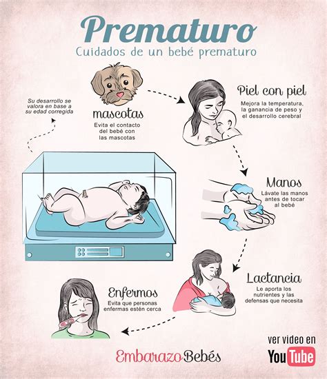 BebÉs Prematuros Cuidados Y Desarrollo Bebes Prematuros Prematuro
