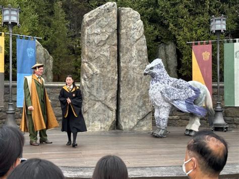 Photos Video Hippogriff Magical Encounter At The Wizarding World Of