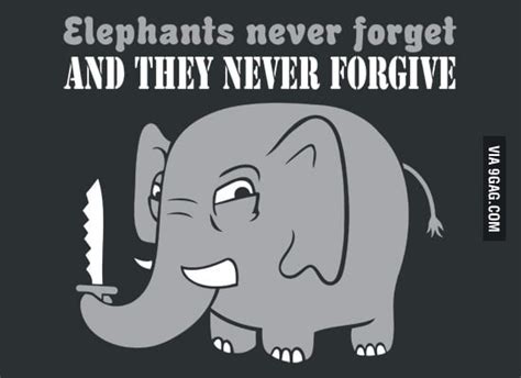 Elephants They Never Forget 9gag