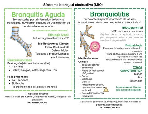 Bronquitis Y Bronquiolitis Alexa Rodriguez UDocz