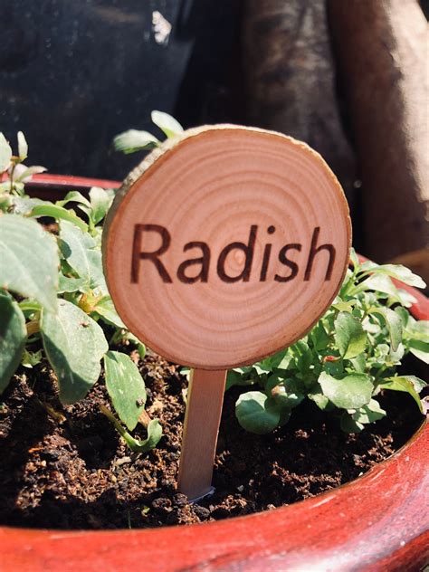 New Product These Are Personalised Wooden Garden Markers Text Is