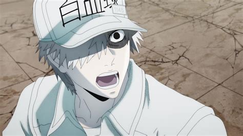 Share 74 White Blood Cells Anime Super Hot Incdgdbentre