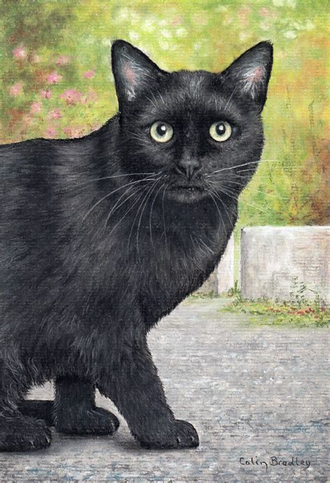 Draw These Animals Using Pastel Pencils Black Cat Painting Black Cat