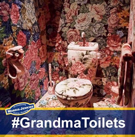 8 Toilets Your Grandma Would Like Morris Jenkins