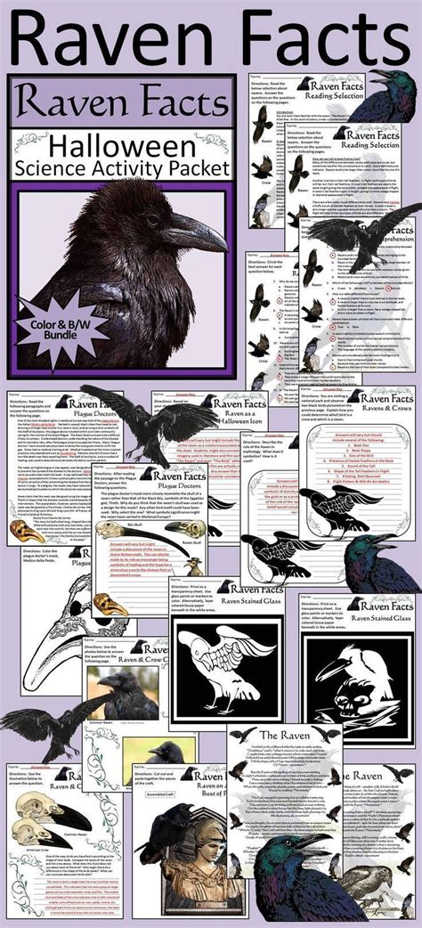 Raven Facts Halloween Science Activity Packet Bundle Color And Bw