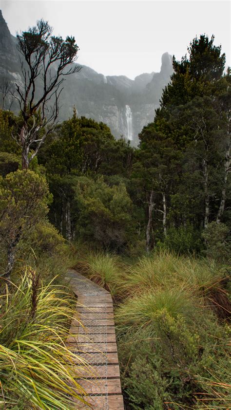 Within The Fossey Ranges In Tasmania Is Winterbrook Falls A Large