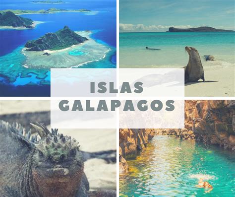 Lista 96 Foto Muéstrame Fotos De Las Islas Galápagos Mirada Tensa