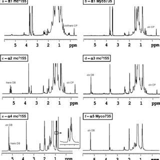 Diethylether strukturformel allgemeines name diethylether andere namen ether, äther diethylether bezeichnet in der chemie eine organische verbindung aus der verbindungsklasse der. (PDF) Investigating the function of the putative mycolic ...