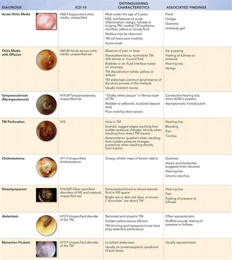 Tympanic Membrane Abnormalities Visual Diagnosis And Treatment In