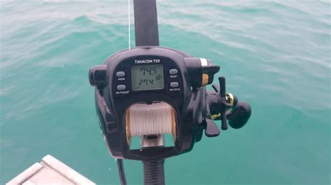 Halibut Fishing With A Daiwa Tanacom Electric Reel Youtube