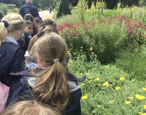 Year 2 Trip To Kew Gardens News Ursuline Preparatory School