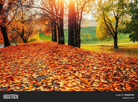 Autumn Sunny Colorful Image And Photo Free Trial Bigstock