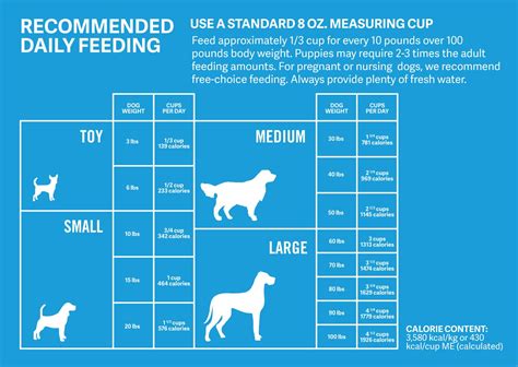 Dog Food Measurements Puppy Feeding Schedule Dog Feeding Schedule