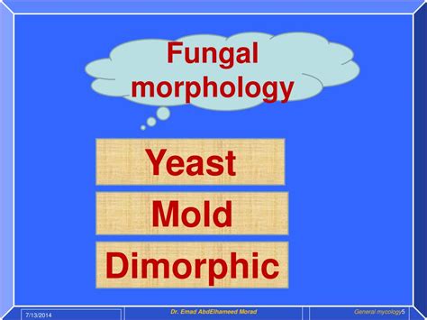 Ppt Introduction To Mycology Powerpoint Presentation Free Download