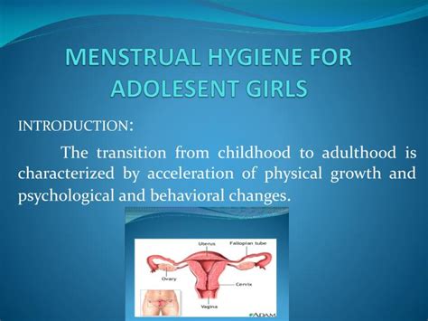 Ppt Menstrual Hygiene For Adolesent Girls Powerpoint Presentation Free Download Id590794