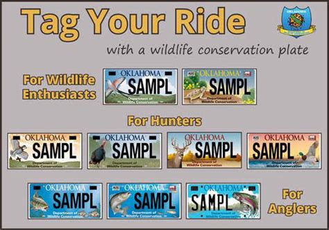Oklahoma Support Wildlife With A Specialty License Plate Outdoor Wire