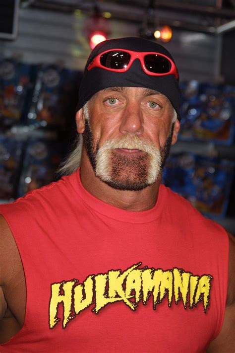 Hulk Hogan Sex Tape Trial — 8 Shocking Revelations National Enquirer