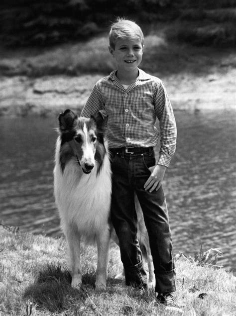 93 Best Stars Lassie Images On Pinterest Tv Tv Series And Bob Hope
